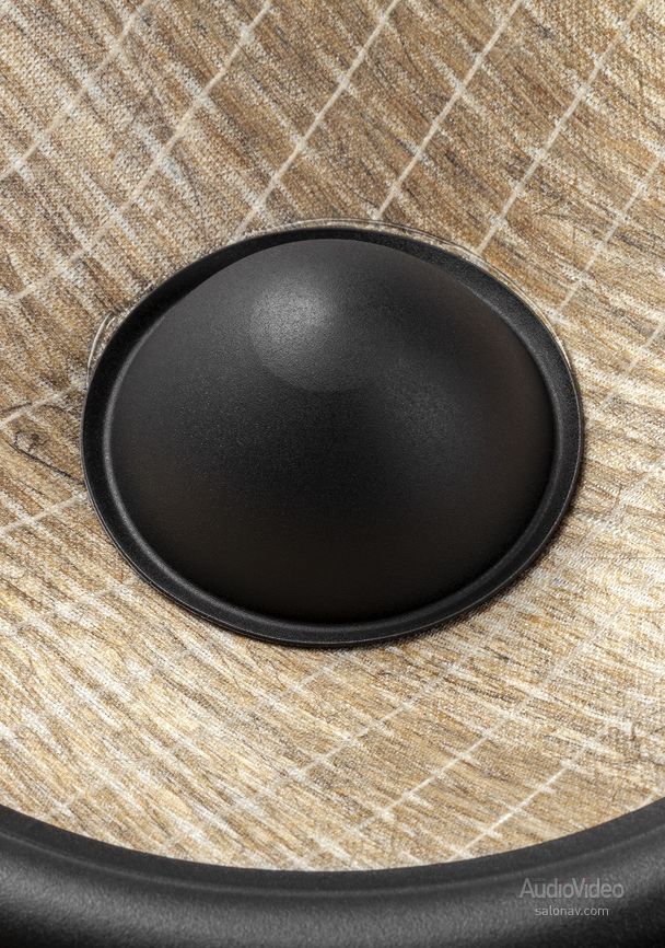 Focal_Aria_Evo_X_N4_0668.jpg