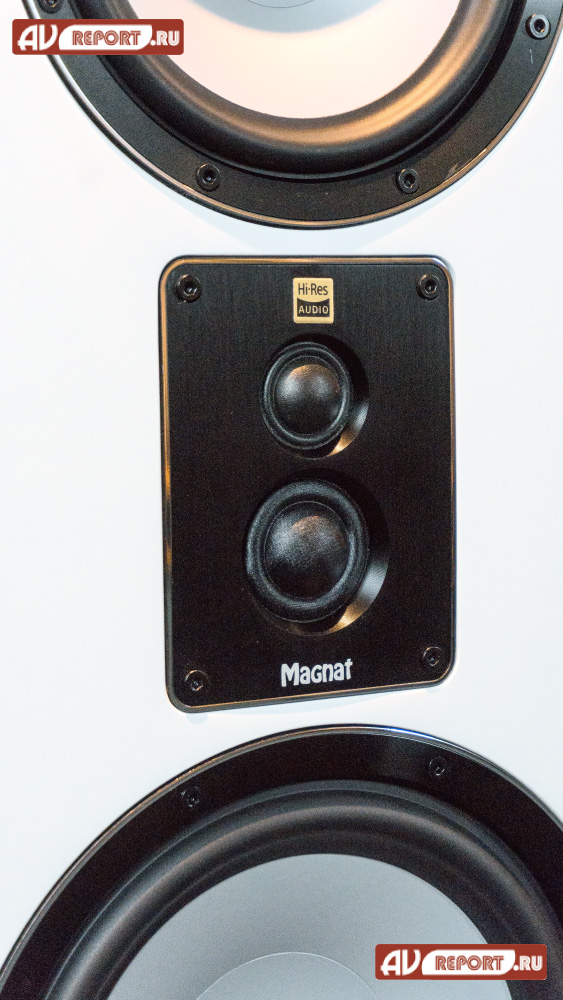 Magnat-909-drv4.jpg