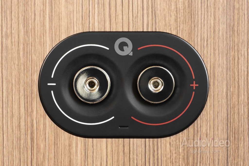 Q_Acoustics_5020_172.jpg