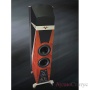 LEGACY AUDIO V Sapele Pommele High Gloss