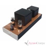 AUDIO NOTE Paladin Silver Signature, no valves Silver