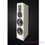 Legacy Audio Signature SE Curly maple