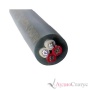 AUDIO NOTE AN-Sogon-Sp