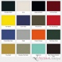WILSON AUDIO Sasha V Special Colour