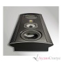 LEGACY AUDIO Silhouette Pair Curly maple