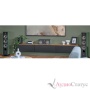 Focal Aria Evo X N2 Prime Walnut