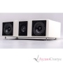 Wilson Audio Wasae Center Special Colour