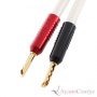 ATLAS CABLES Achromatic Gold Z Plug Crimp Black