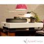 Bergmann Audio Magne Anniversary Black/Black