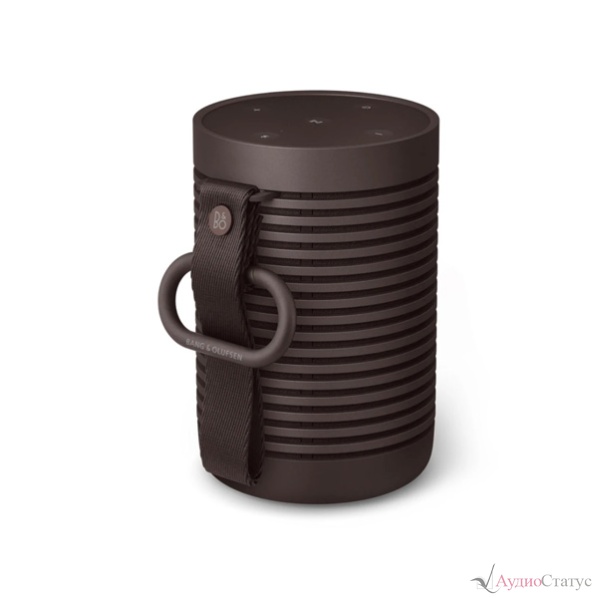 Bang & Olufsen Beosound Explore Chestnut