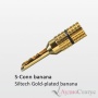 Siltech Explorer 180 L Scone-banana 2,0 m