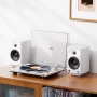 FIIO TT13 (F3491T) Silver