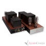 Audio Note Empress Silver Signature low gain Silver