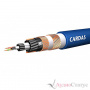 CARDAS AUDIO Clear Beyond IC RCA 1,0 m