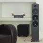 Paradigm Defiance V10 Satin Black