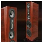 LEGACY AUDIO Focus XD Medium Oak