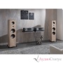 T+A Criterion S 2000 CTL Walnut Dark 81