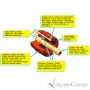 BLACK RHODIUM Bullet Plug RCA Red