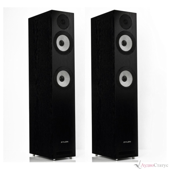 PYLON AUDIO Ruby 25 Mk II Black