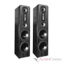 Legacy Audio Focus SE Sapele Pommele High Gloss