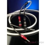 CHORD COMPANY Clearway X Speaker Cable 1.5 m