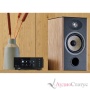 FOCAL Aria Evo X N1 Prime Walnut