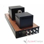 AUDIO NOTE Paladin Silver Signature, no valves Silver