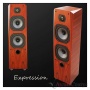 Legacy Audio Expression Sapele Pommele Satin