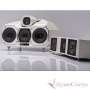 Wilson Audio Wasae Center Special Colour