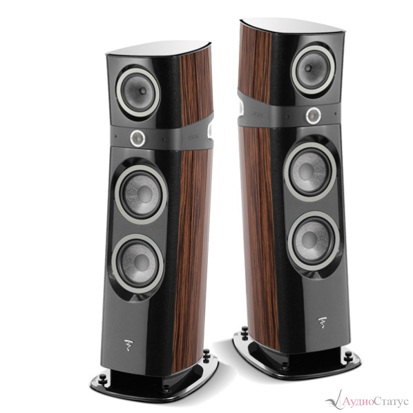 FOCAL Sopra N°3 Macassar