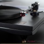 GOLD NOTE Pianoza Black
