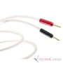 Atlas Cables Equator Achromatic Speaker Z 2.0, 3.0 m