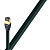 AudioQuest Forest RJ/E PVC, 3.0 м