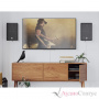 DALI Oberon On-Wall C + Sound Hub Compact Black Ash