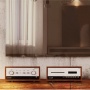LEAK STEREO 130 Walnut