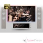 HiFi Rose RS250 Silver