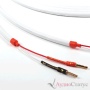 CHORD COMPANY C-screen bulk